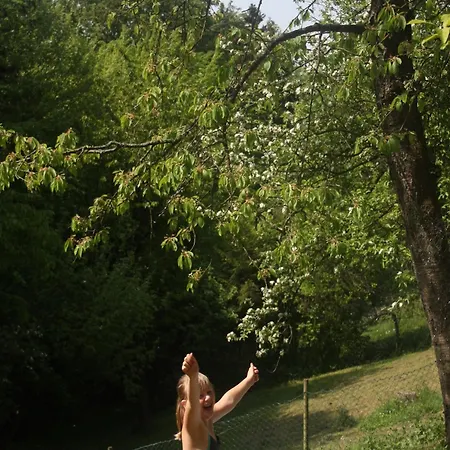 Vintage-ferienhaus Mit Eigener Terrasse Prázdninový dům Eichenborn