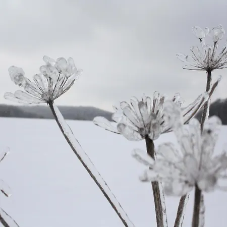 Vintage-ferienhaus Mit Eigener Terrasse * Eichenborn