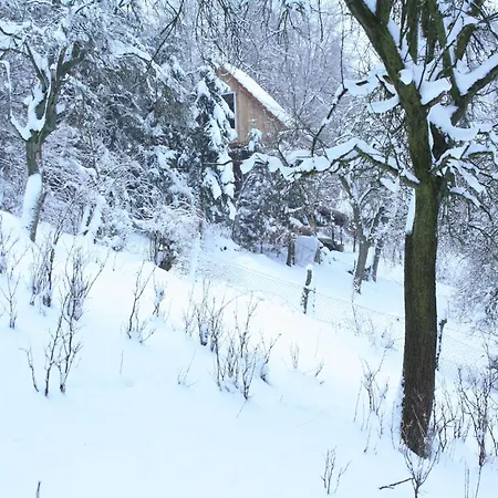 Prázdninový dům Vintage-ferienhaus Mit Eigener Terrasse Eichenborn