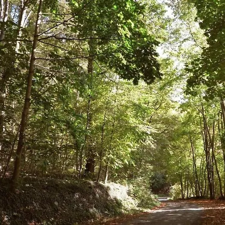 Vintage-ferienhaus Mit Eigener Terrasse *