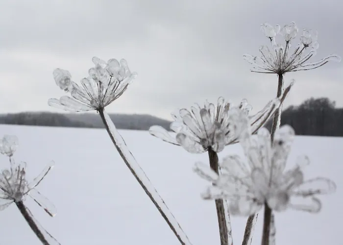 Vintage-ferienhaus Mit Eigener Terrasse * Eichenborn