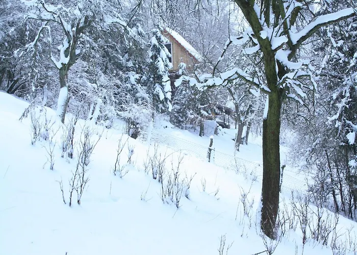Nyaraló Vintage-ferienhaus Mit Eigener Terrasse Eichenborn