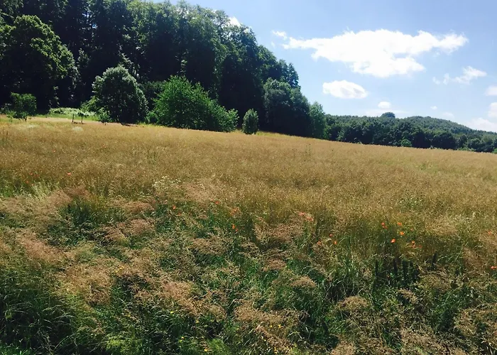 Nyaraló Vintage-ferienhaus Mit Eigener Terrasse Eichenborn