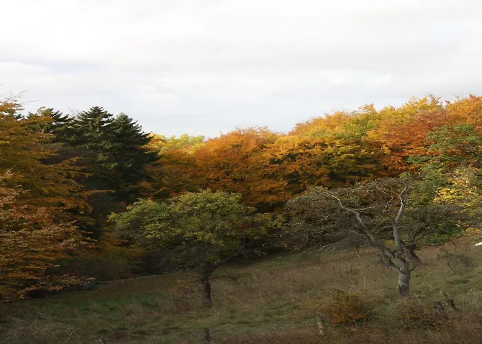 Nyaraló Vintage-ferienhaus Mit Eigener Terrasse Eichenborn